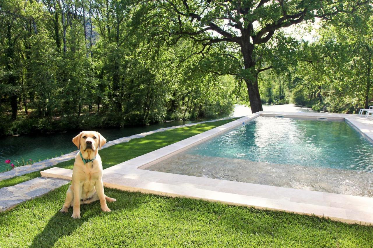 La Magnanerie D'Hotes ,Le Jardin Secret Sauve Exterior foto