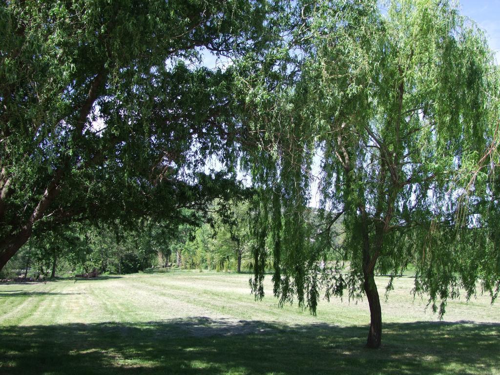 La Magnanerie D'Hotes ,Le Jardin Secret Sauve Exterior foto
